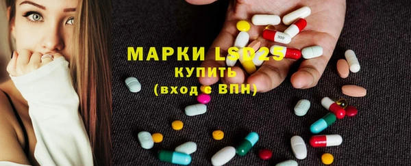 стаф Михайловск