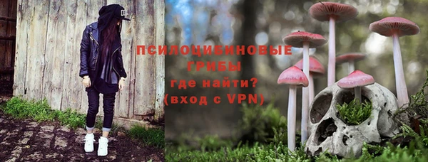 PSILOCYBIN Мегион