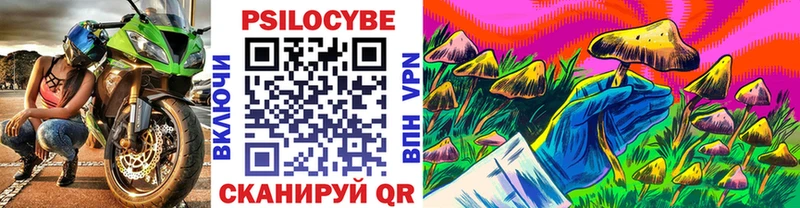 Галлюциногенные грибы Psilocybe hydra ССЫЛКА Островной